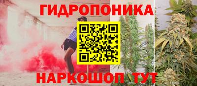 трава Пушкино