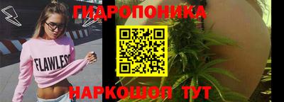 тгк Пугачёв
