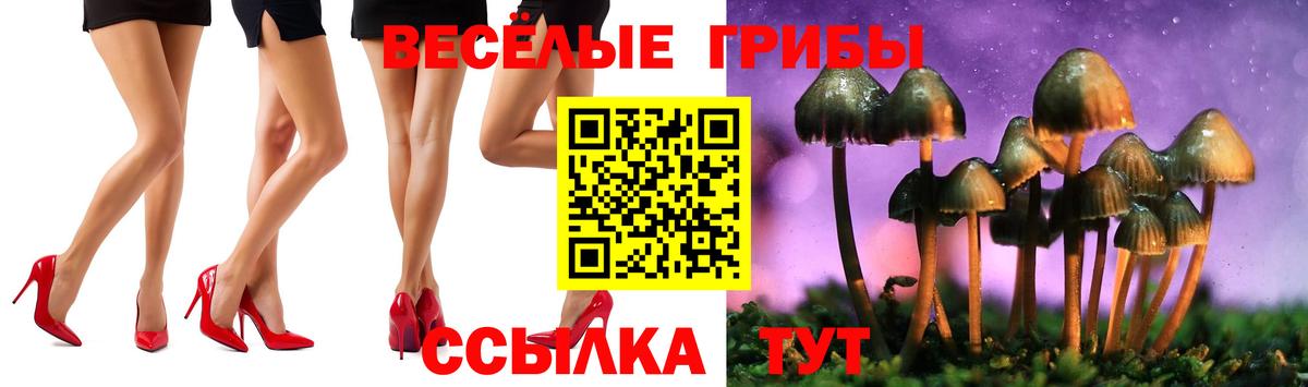 Галлюциногенные грибы мухоморы Абинск